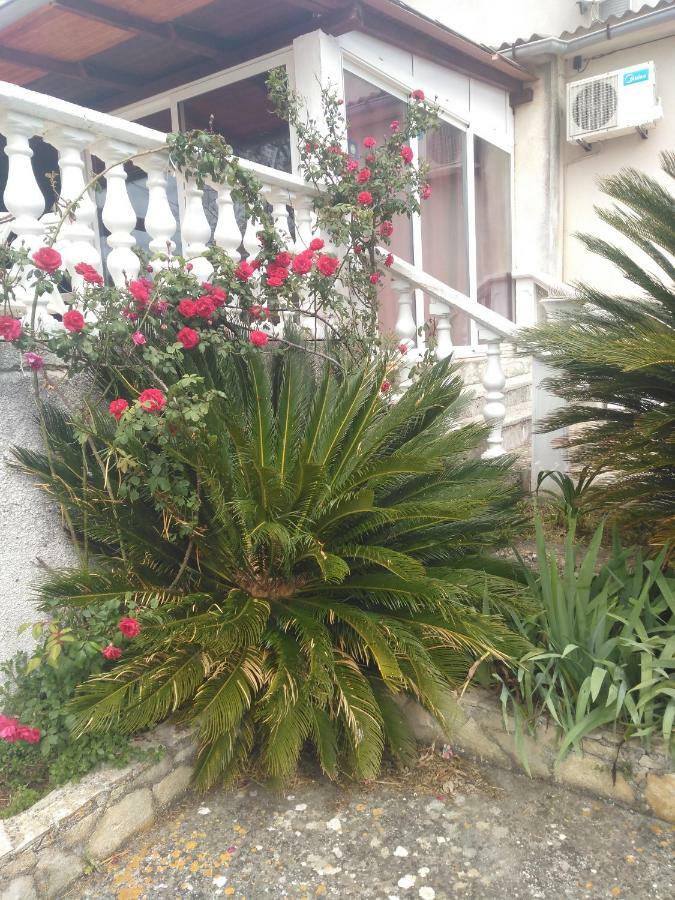 Ruza Dugi Otok Apartman *
